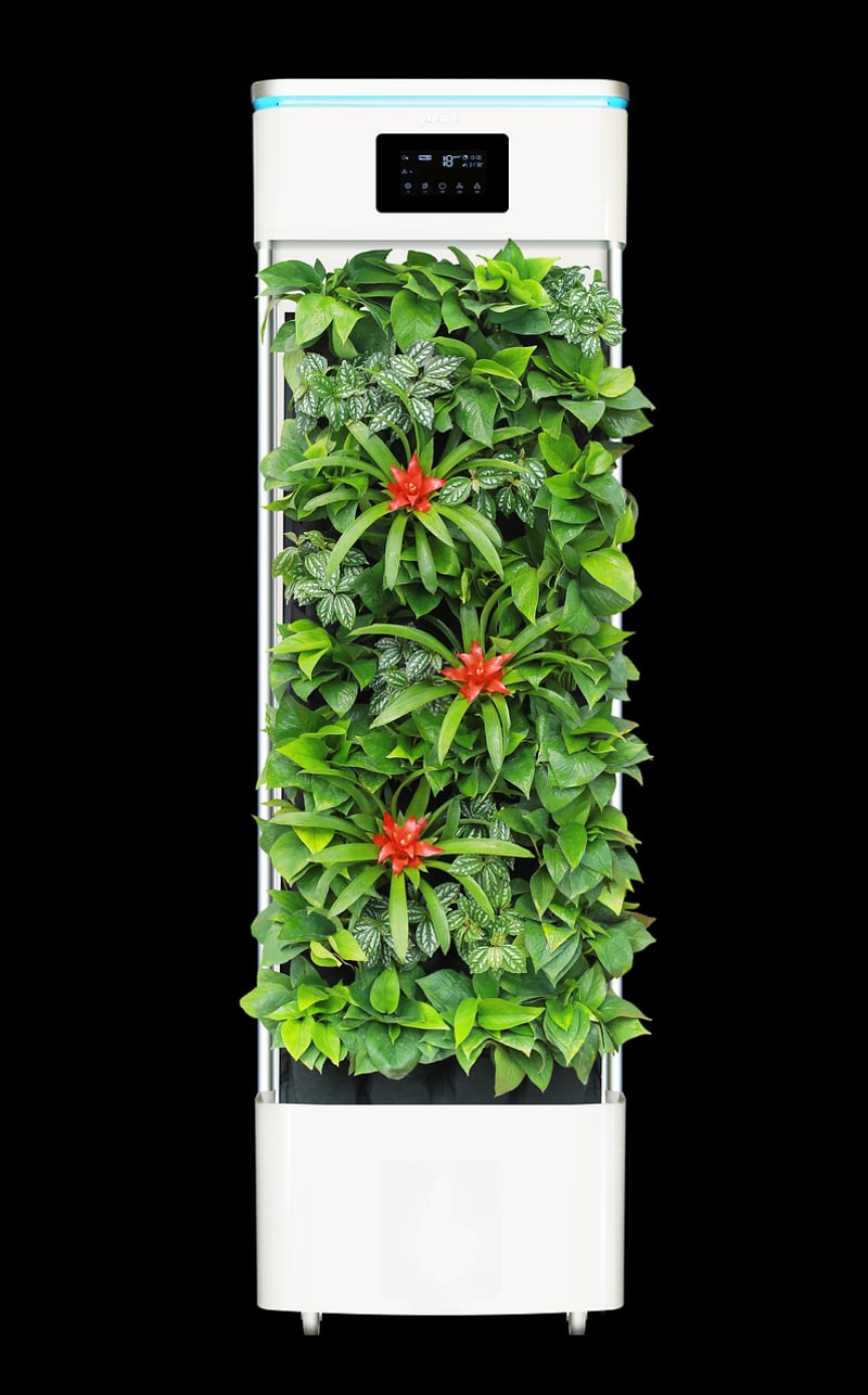 Air-Purifying Crafts