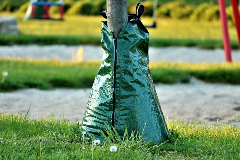 Watering Plants